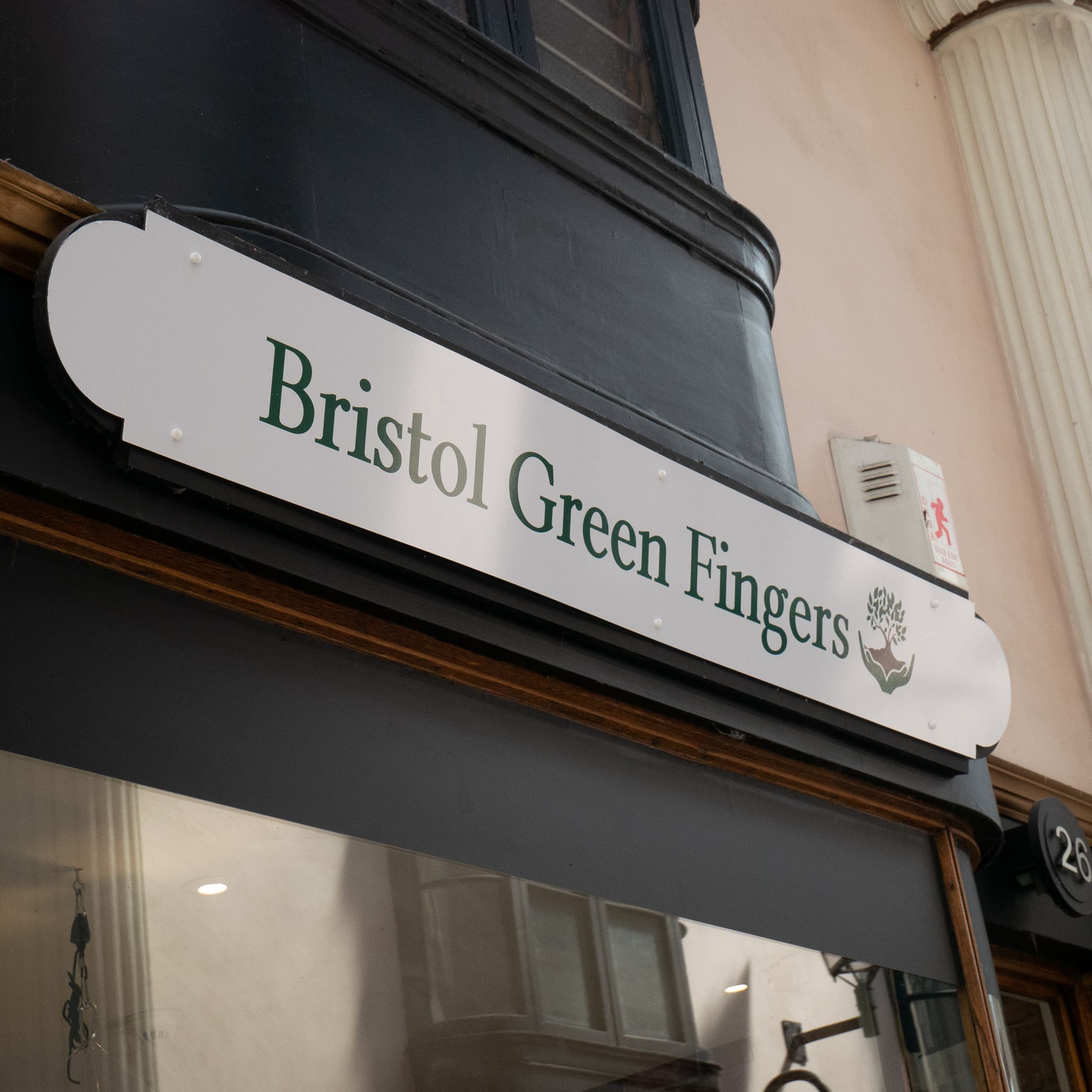 Bristol's Best Plant Shop!
