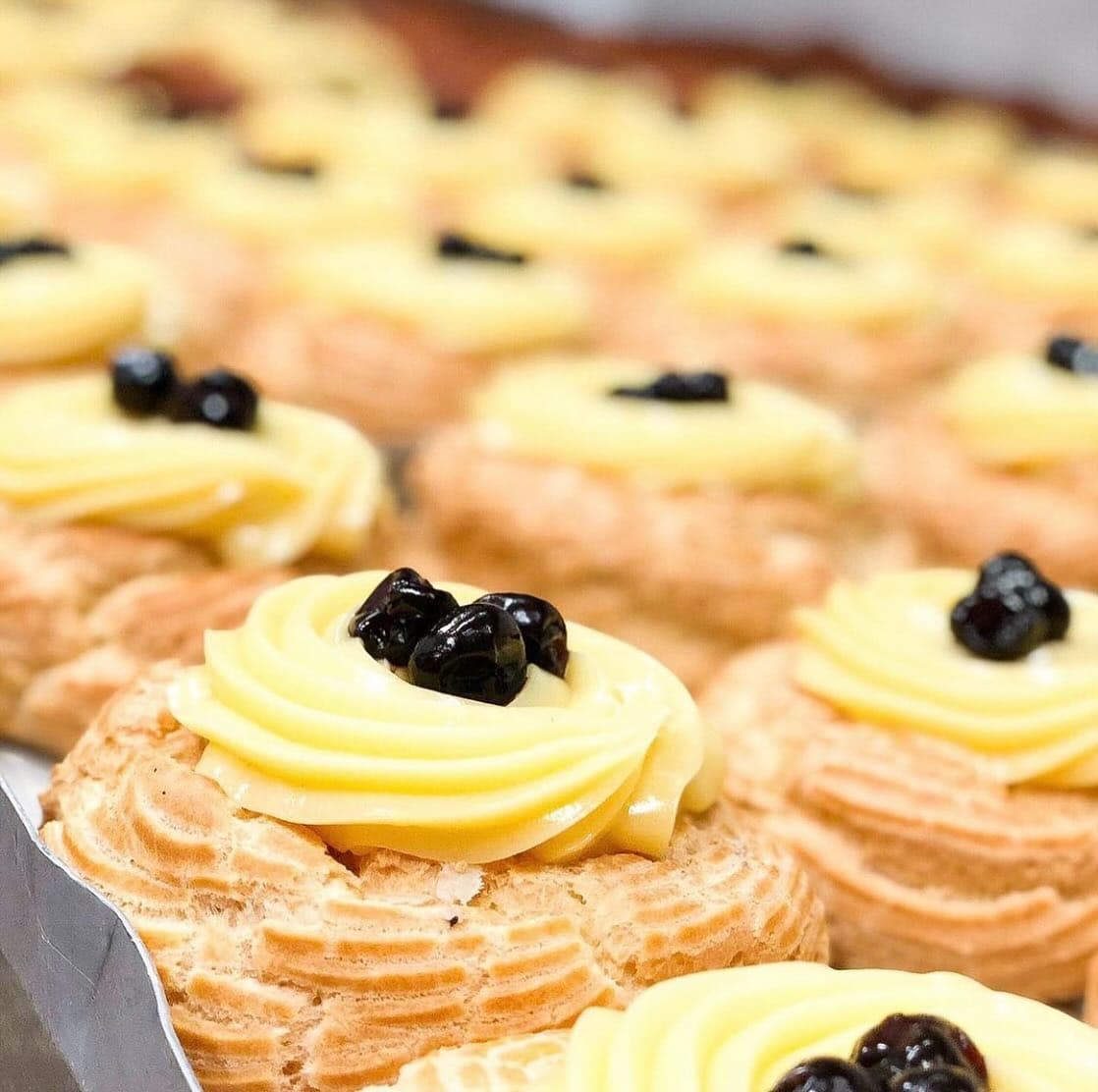 Italian Father's Day and delicious Zeppole!