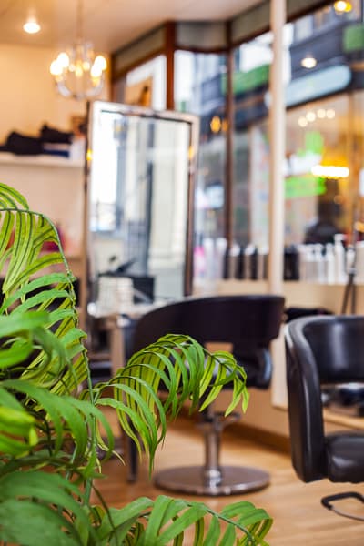 Shop Spotlight: The Hair and Beauty Bank
