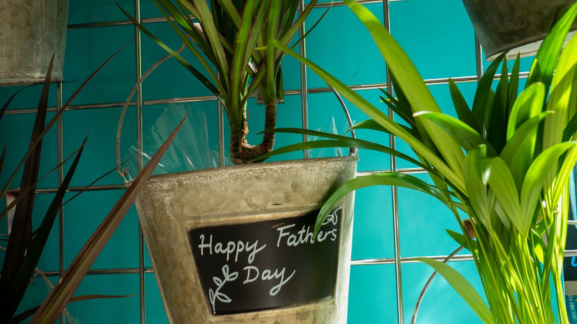 Greetings Cards and Birthday Gift Ideas in Bristol