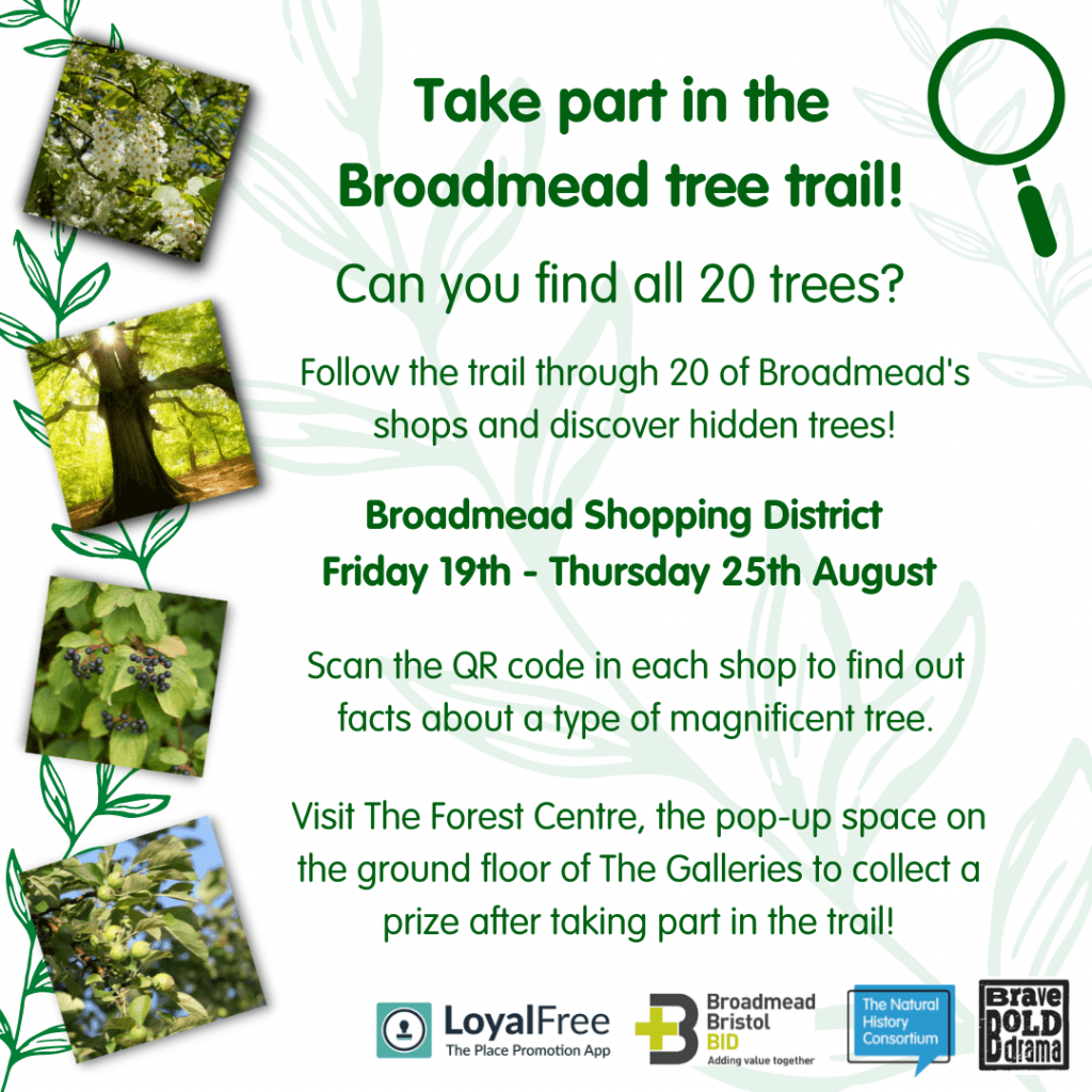 Overstory's Tree Trail at Sobey's