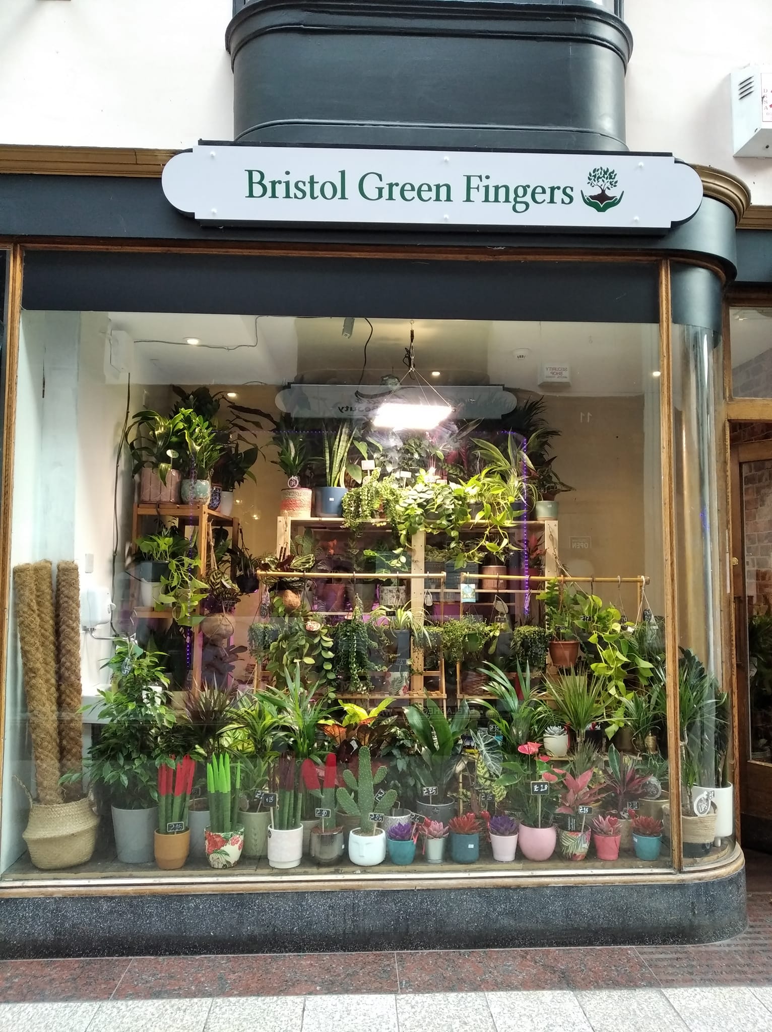 Bristol Green Fingers